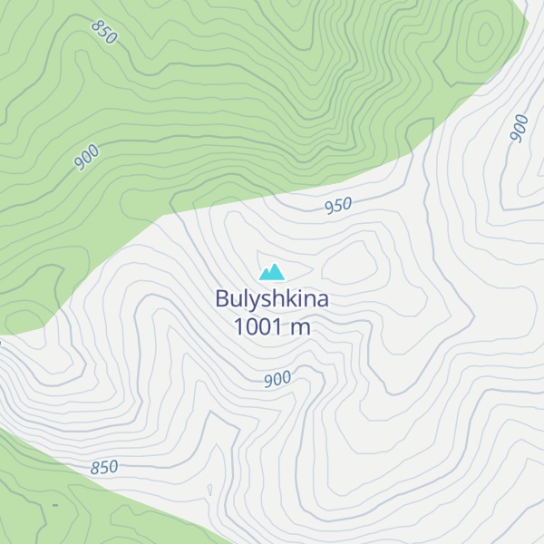 Map of Bulyshkina