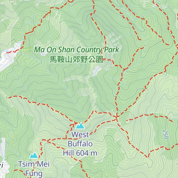 Map of Wong Chuk Shan