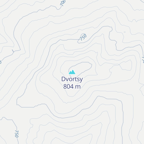 Map of Dvortsy
