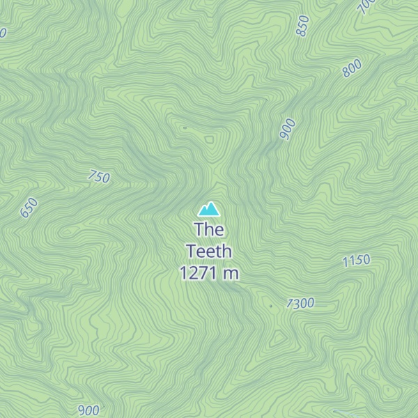 Map of The Teeth