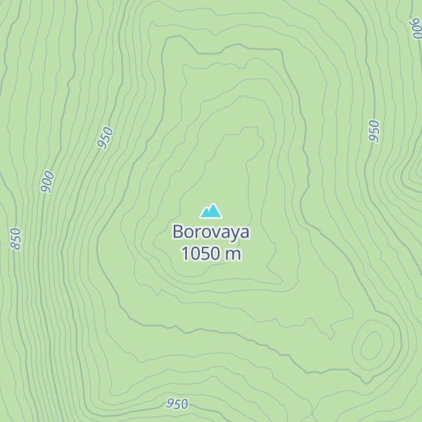 Map of Borovaya