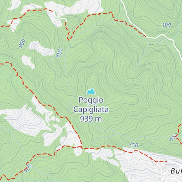 Map of Poggio Capigliata