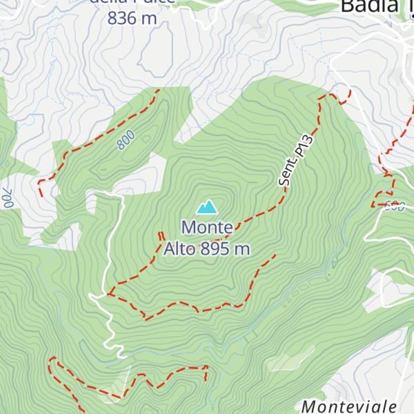Map of Monte Alto