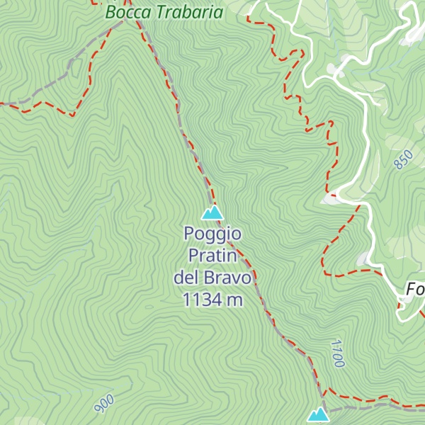 Map of Poggio Pratin del Bravo