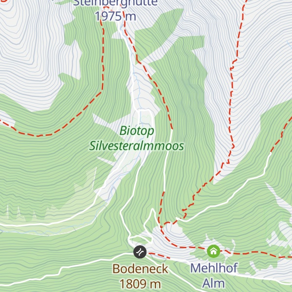 Map of Silvesteralm - Malga San Silvestro