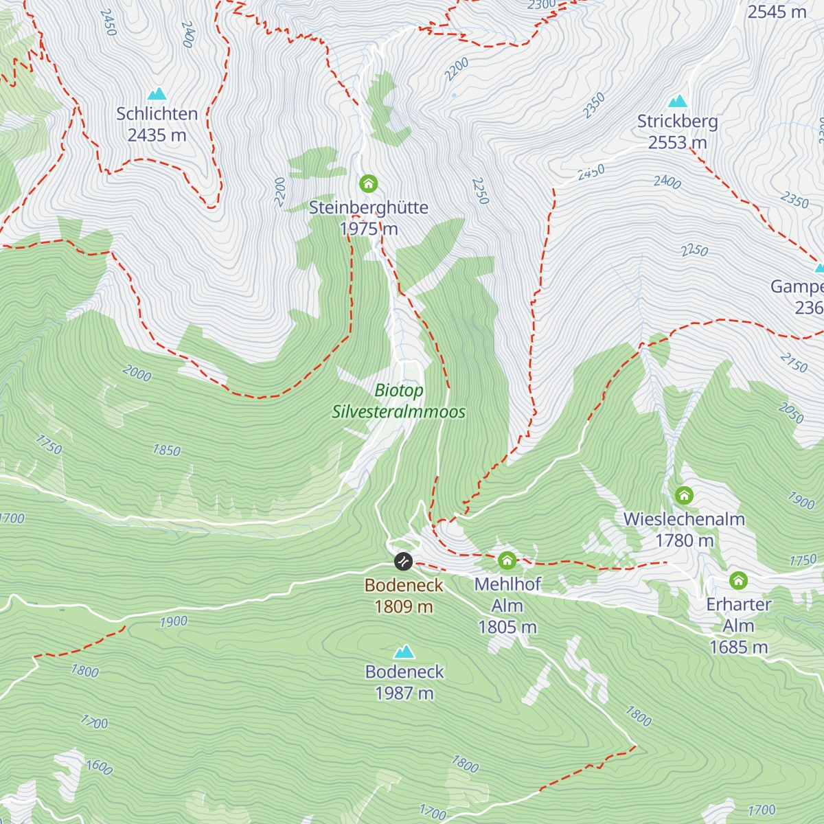 Silvesteralm - Malga San Silvestro map
