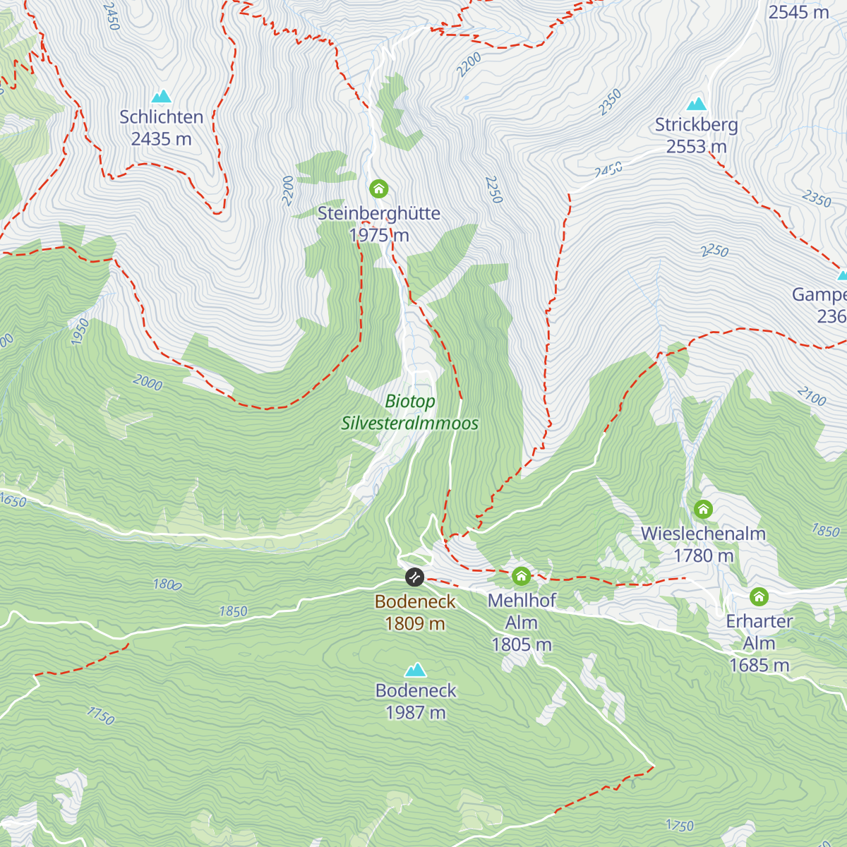 Silvesteralm - Malga San Silvestro map