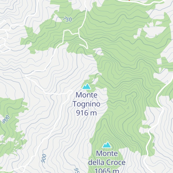 Map of Monte Tognino