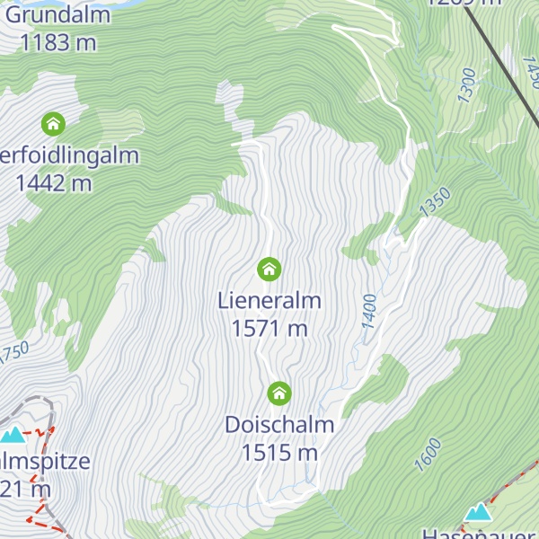 Map of Lieneralm