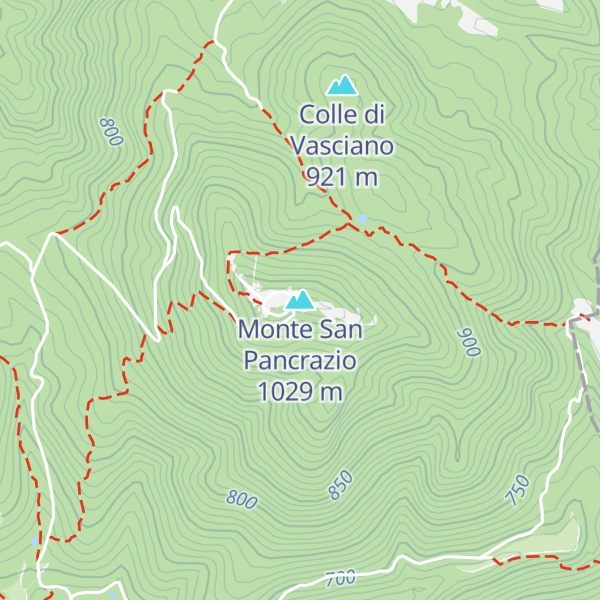 Map of Monte San Pancrazio