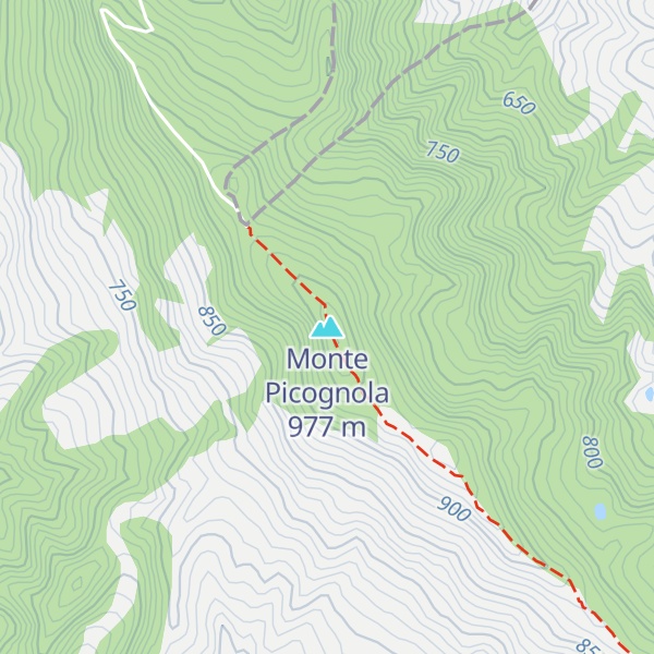 Map of Monte Picognola
