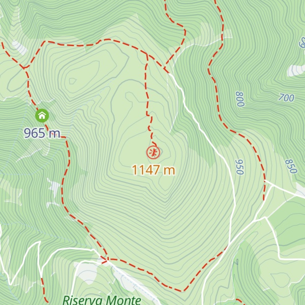 Map of Monte Puro
