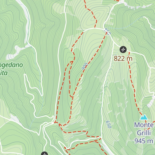 Map of Monte Alto