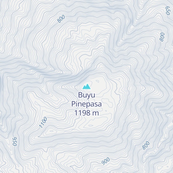 Map of Buyu Pinepasa