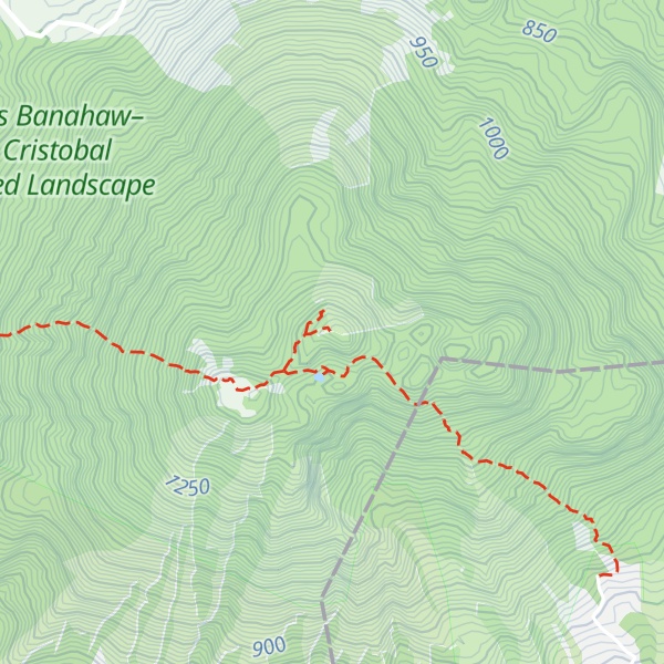 Map of Mount San Cristobal