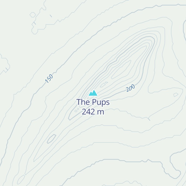 Map of The Pups