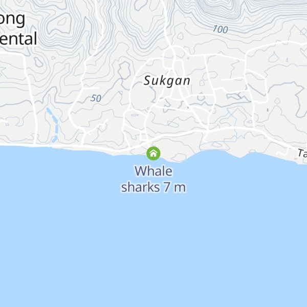 Map of Whale sharks