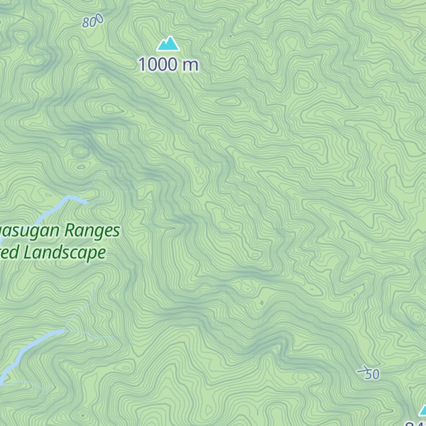 Map of Mount Pangasugan