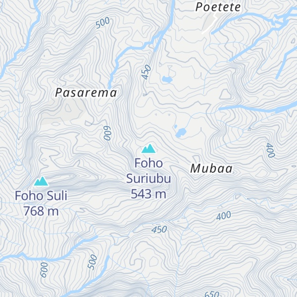 Map of Foho Suriubu
