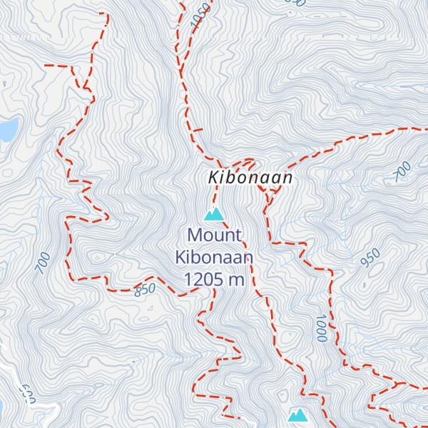 Map of Mount Kibonaan