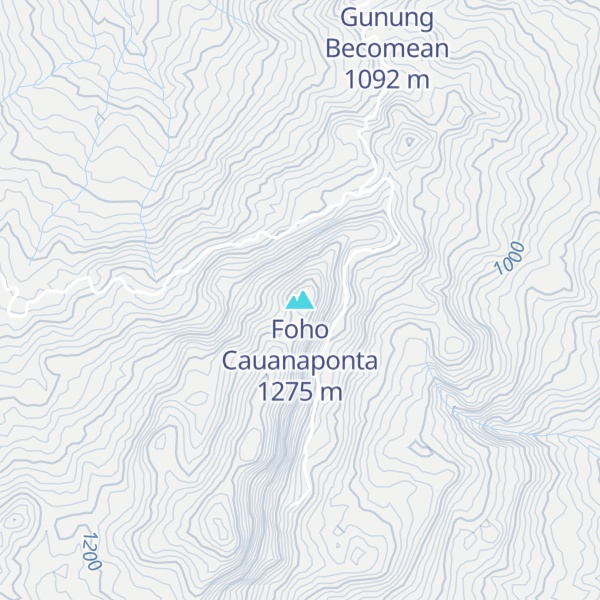 Map of Foho Cauanaponta