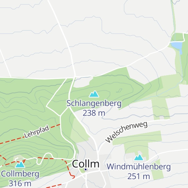 Map of Schlangenberg