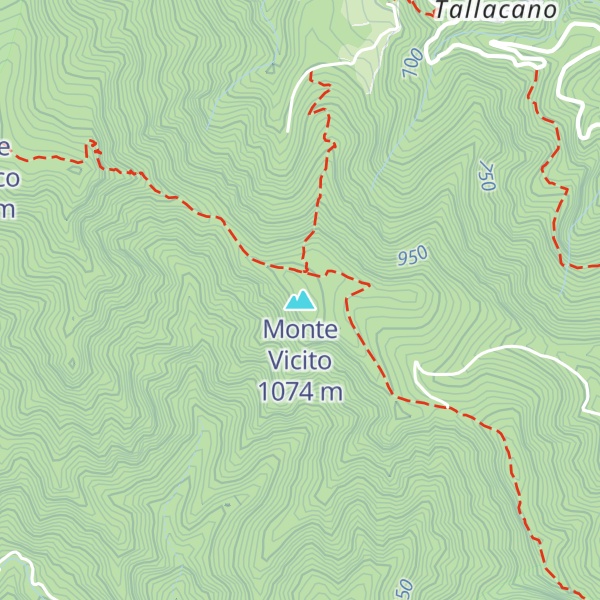 Map of Monte Vicito