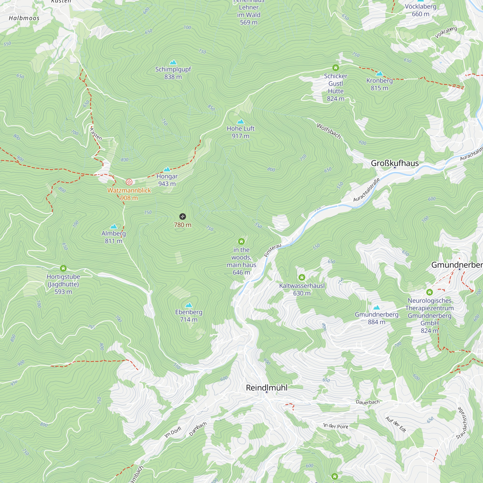 in the woods, main haus map