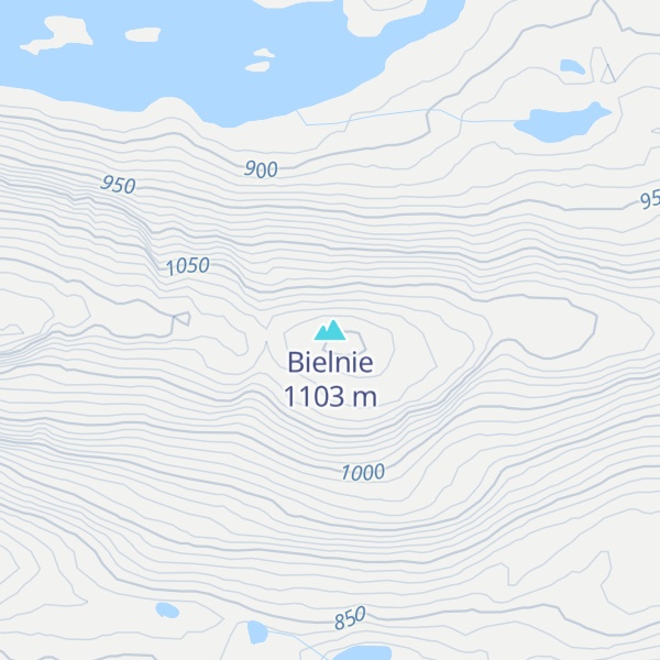 Map of Bielnie