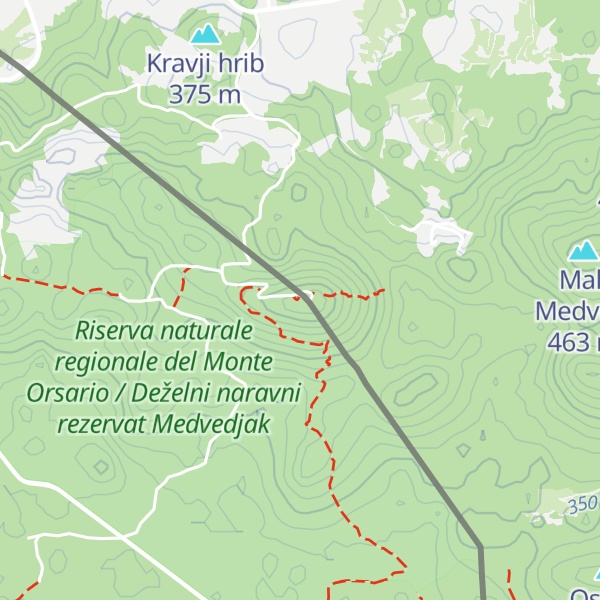 Map of Monte Orsario / Veliki Medvejk