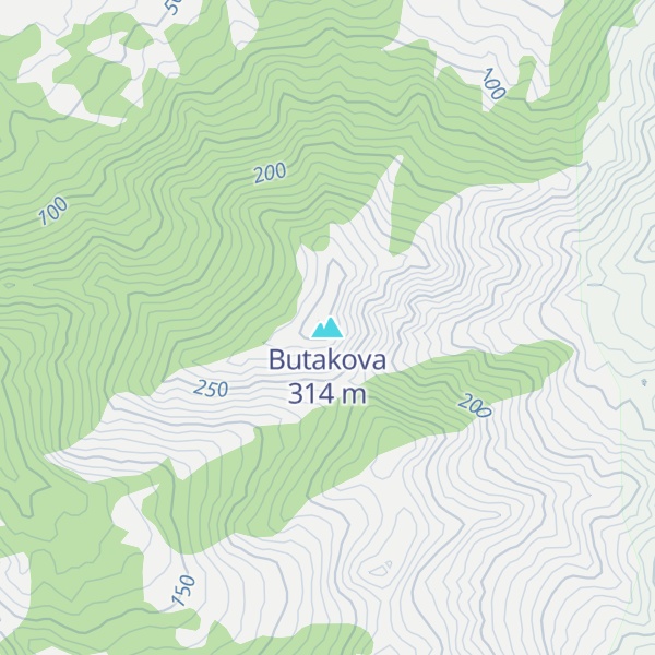 Map of Butakova