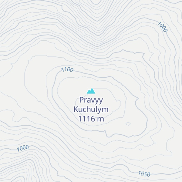 Map of Pravyy Kuchulym