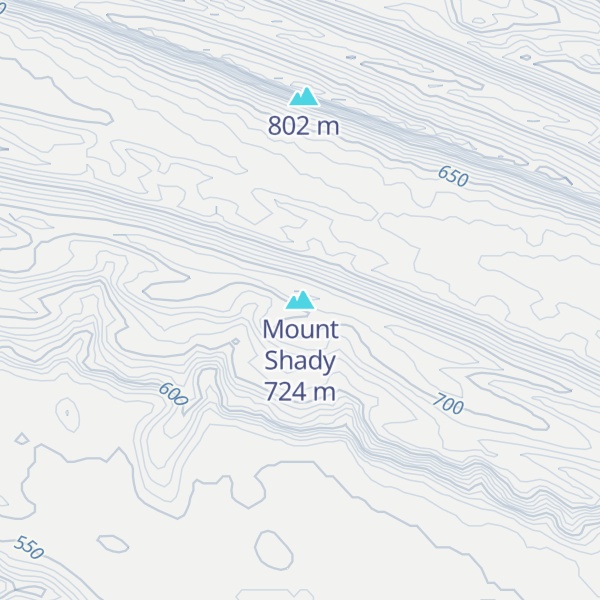 Map of Mount Shady