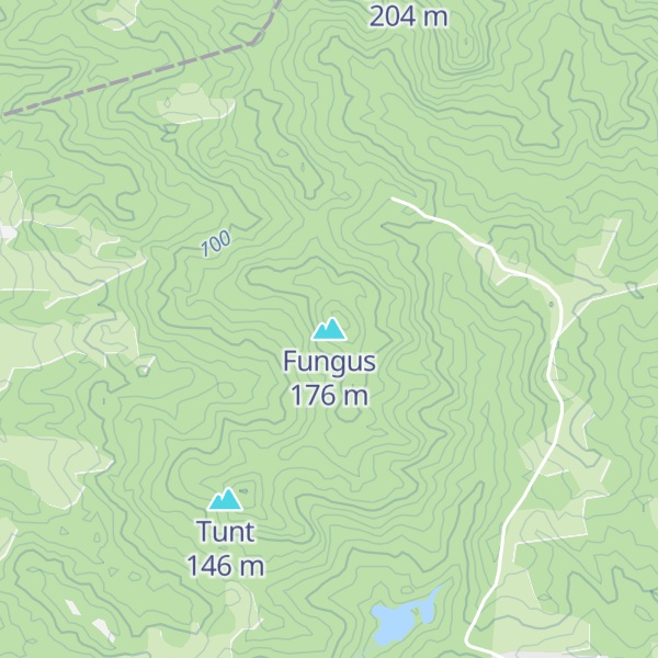 Map of Fungus