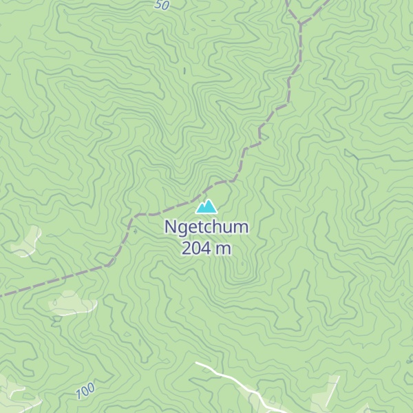 Map of Ngetchum
