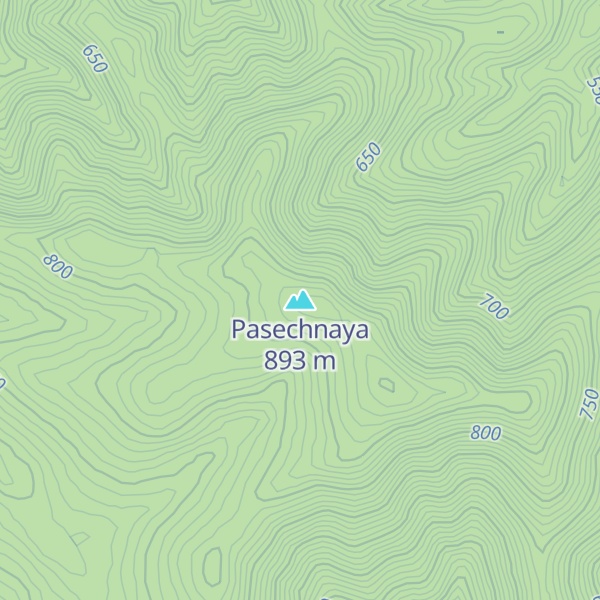 Map of Pasechnaya