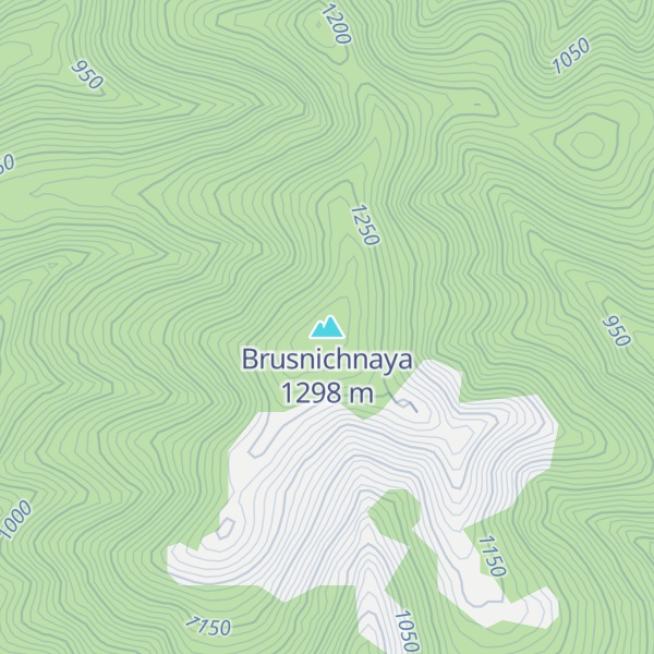 Map of Brusnichnaya