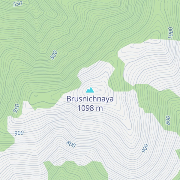 Map of Brusnichnaya