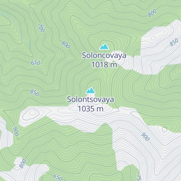 Map of Solontsovaya