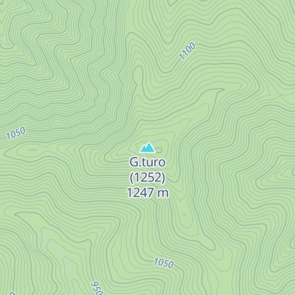 Map of G.turo (1252)