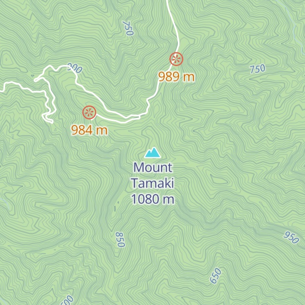 Map of Mount Tamaki