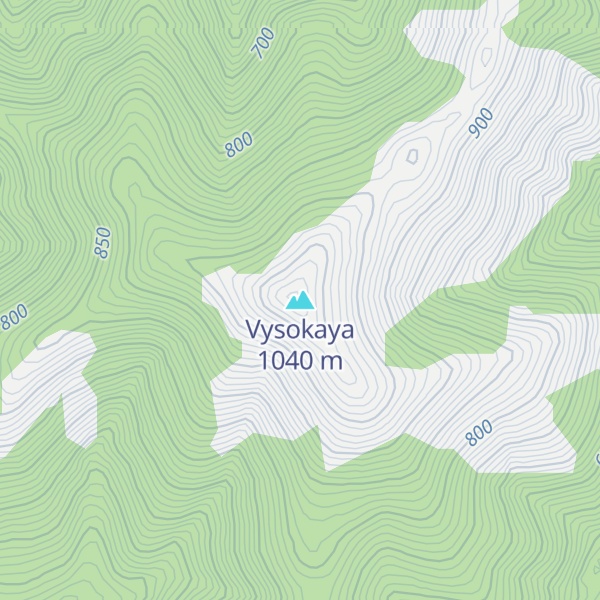 Map of Vysokaya
