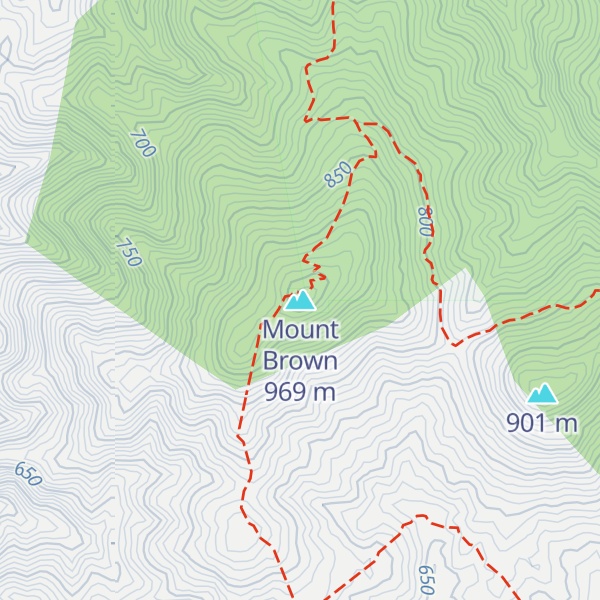 Map of Mount Brown