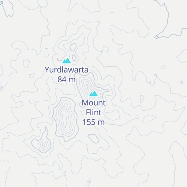 Map of Mount Flint