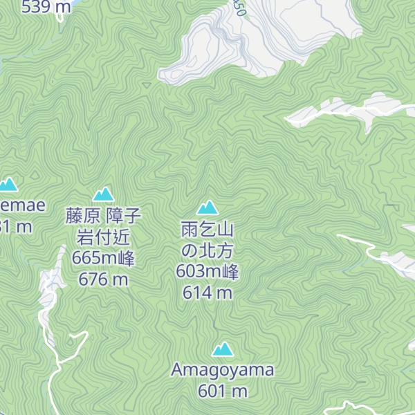 Map of 雨乞山の北方603m峰