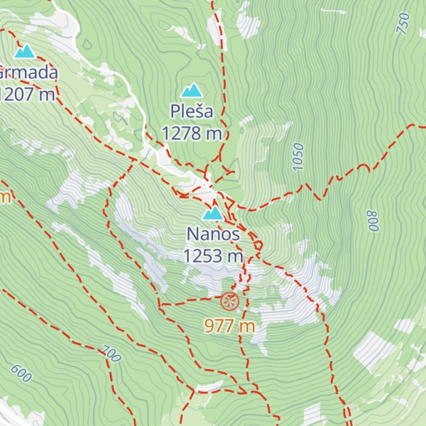Map of Nanos