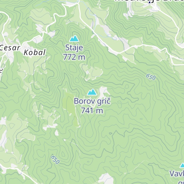 Map of Borov grič