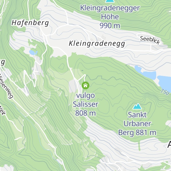 Map of vulgo Salisser