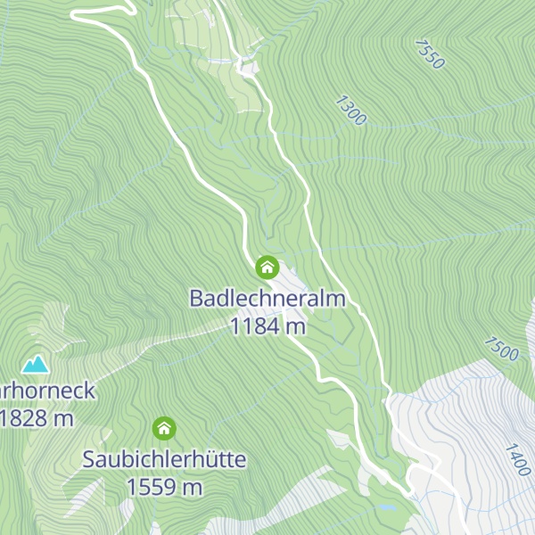 Map of Badlechneralm