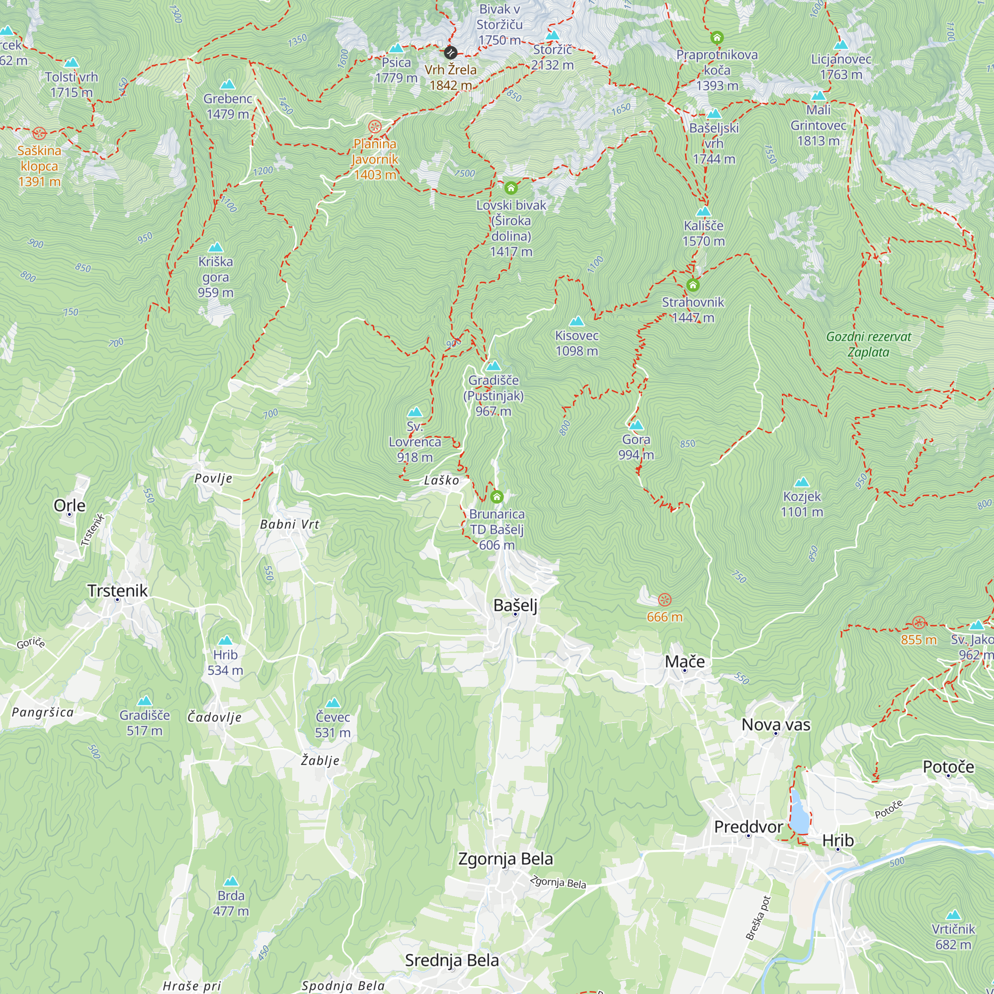 Brunarica TD Bašelj map
